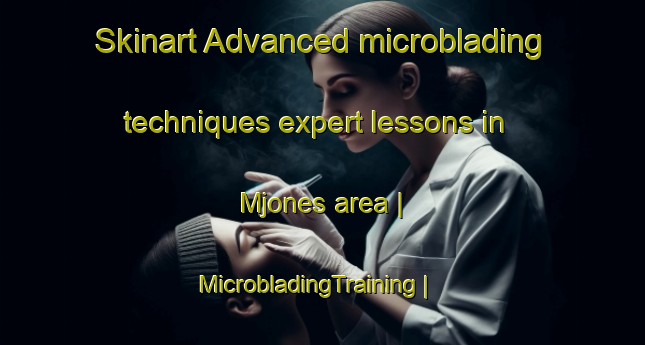 Skinart Advanced microblading techniques expert lessons in Mjones area | MicrobladingTraining | MicrobladingClasses | SkinartTraining-Norway